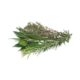 bouquet garni