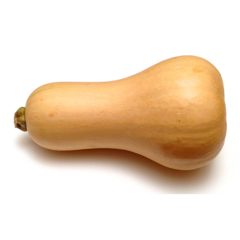 Courge Butternut