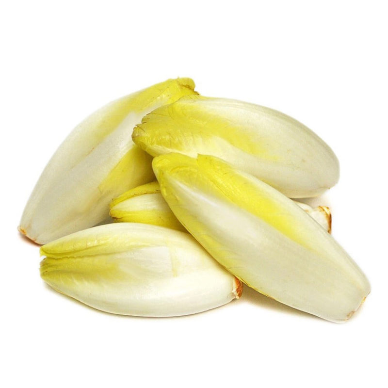 Endive