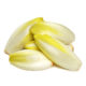 Endive