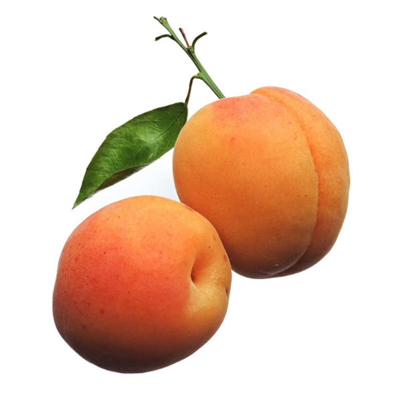 Abricots